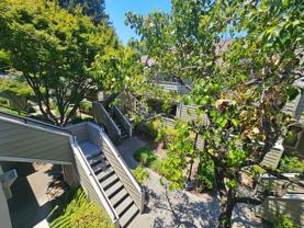 1731 Flickinger Ct - Photo 1 of 1