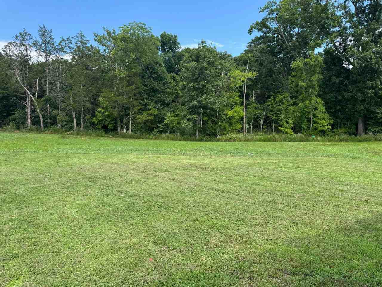 1605 Gambill Wood Dr - Photo 3 of 7