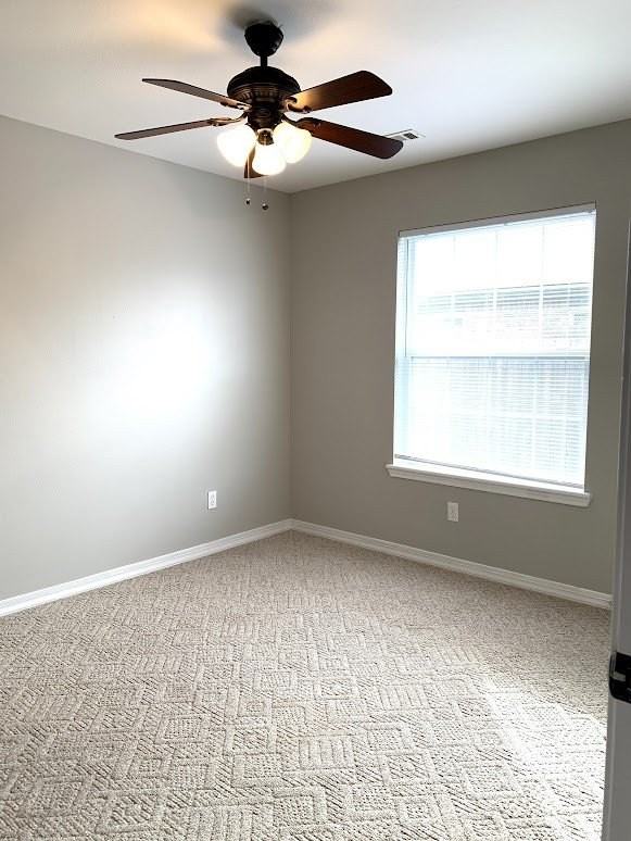 3008 Levi Ln - Photo 7 of 14