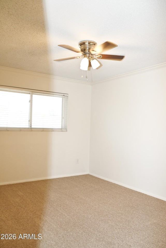 3626 N 80th Pl - Photo 7 of 29
