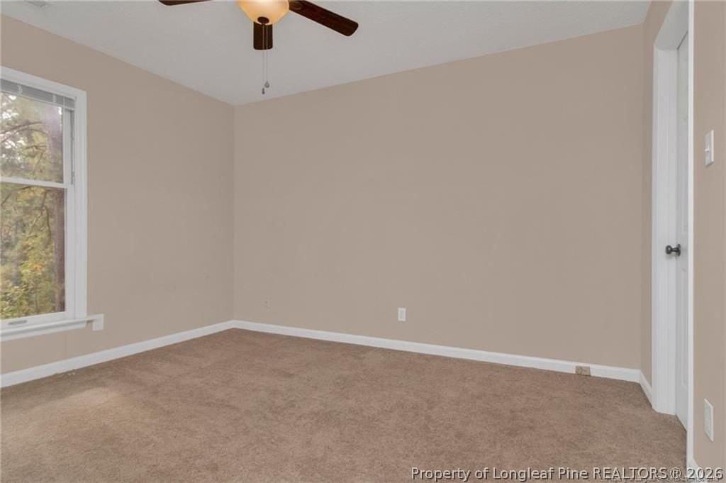 353 Bahama Loop - Photo 7 of 23