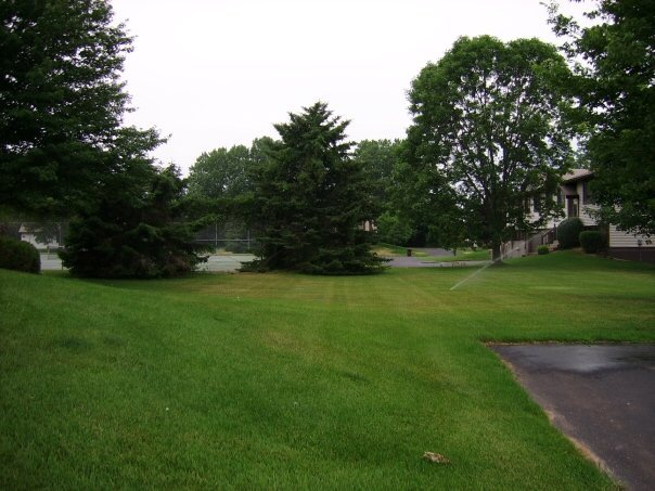 5603 Donegal Dr - Photo 3 of 19