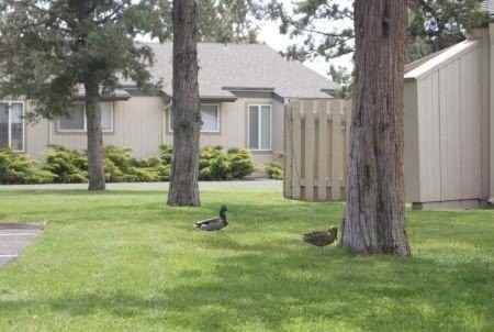 155 Ne Craven Rd #M13 - Photo 2 of 11
