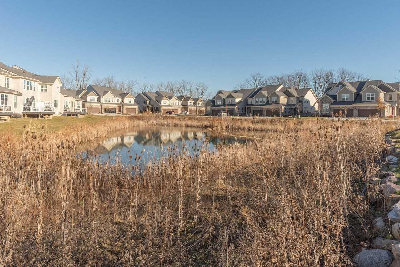 3341 Roseford Blvd - Photo 7 of 50