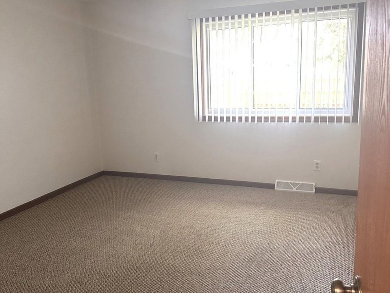313 South Ave - Photo 5 of 12
