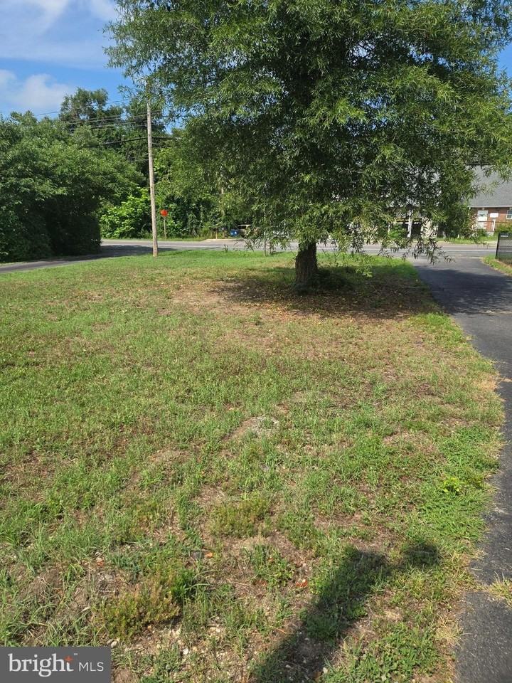 23915 Mervell Dean Rd - Photo 6 of 18