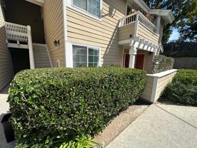 5893 Mount Alifan Dr - Photo 1 of 1