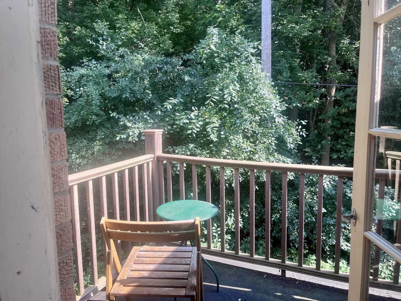 3315 Harvey St #3315-4 - Photo 5 of 19