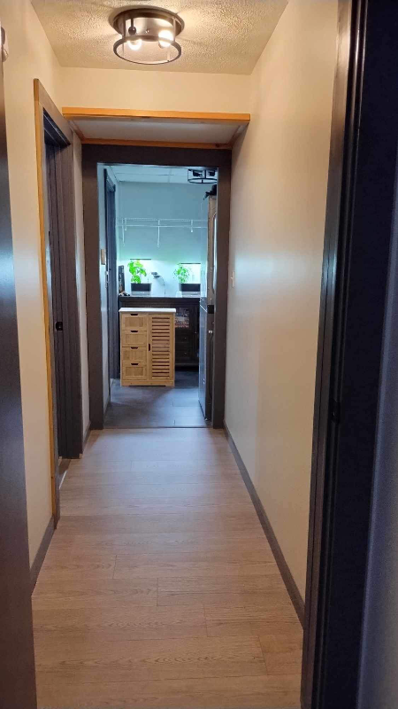 114 N Williams St #1G - Photo 3 of 6