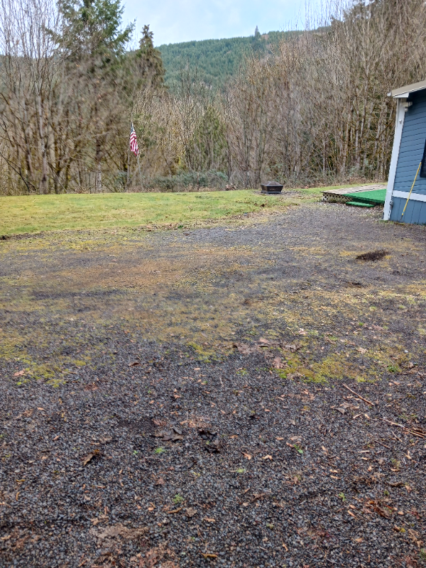 299 Fallert Rd - Photo 4 of 19