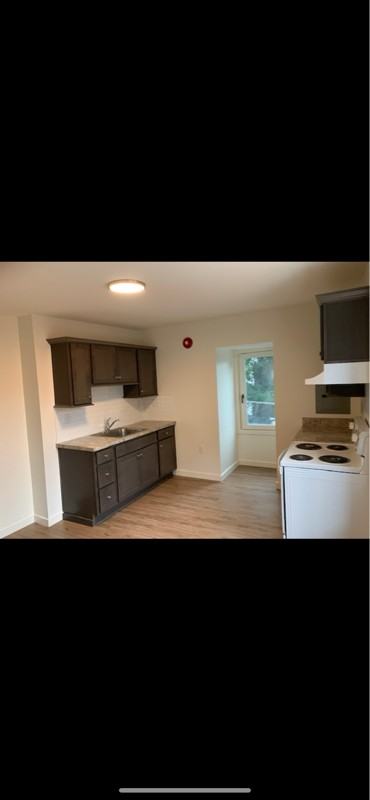 601 N Lime St #3-3rdFL - Photo 3 of 15