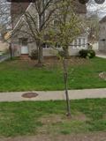 18523 Chagrin Blvd #LOWER - Photo 1 of 1