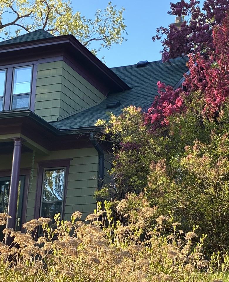 1178 Burns Ave #NA - Photo 5 of 12