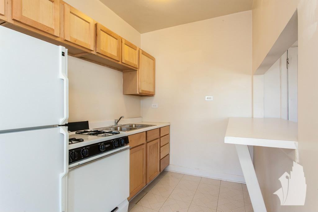 1050 W George St #214 - Photo 6 of 8