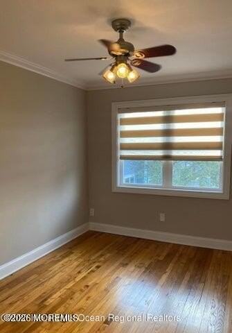 31 Cedar Ave #42 - Photo 4 of 7
