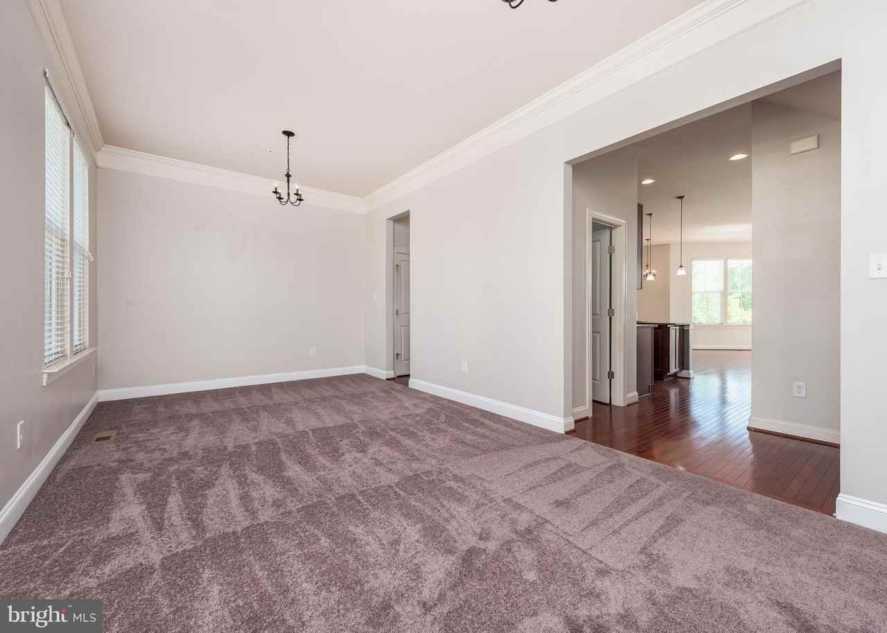 9830 Garden Ranges - Photo 6 of 34