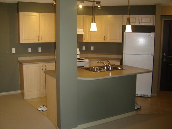 11441 Ellerslie Rd Sw - Photo 2 of 9
