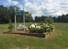 2919 Sipsey Rd - Photo 1 of 1