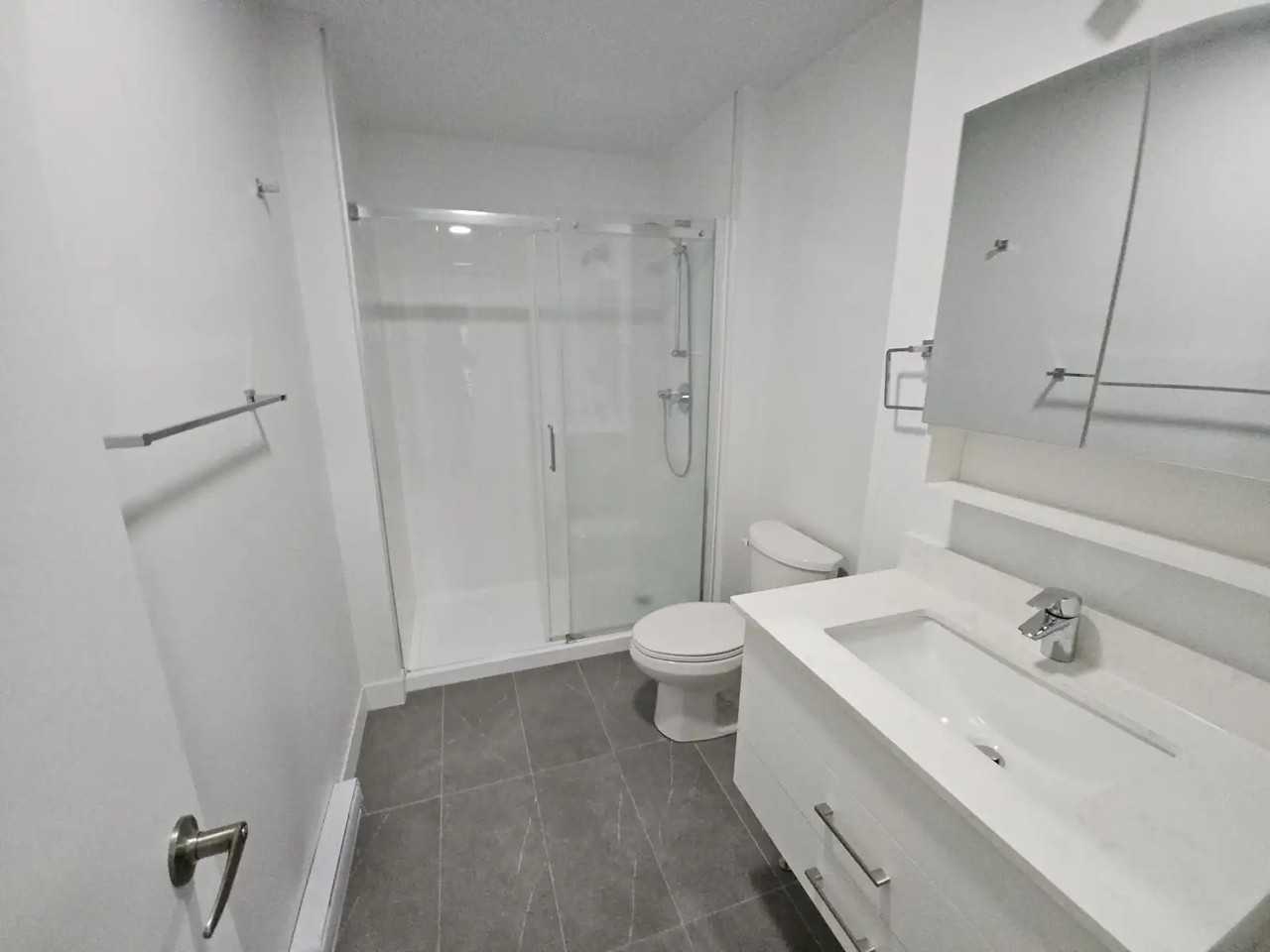 5480 Avenue Henri-Julien #405 - Photo 4 of 19