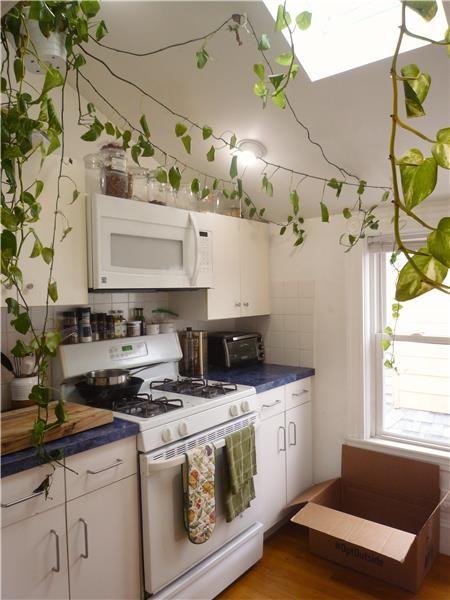 39 Charnwood Rd #3 - Photo 6 of 17