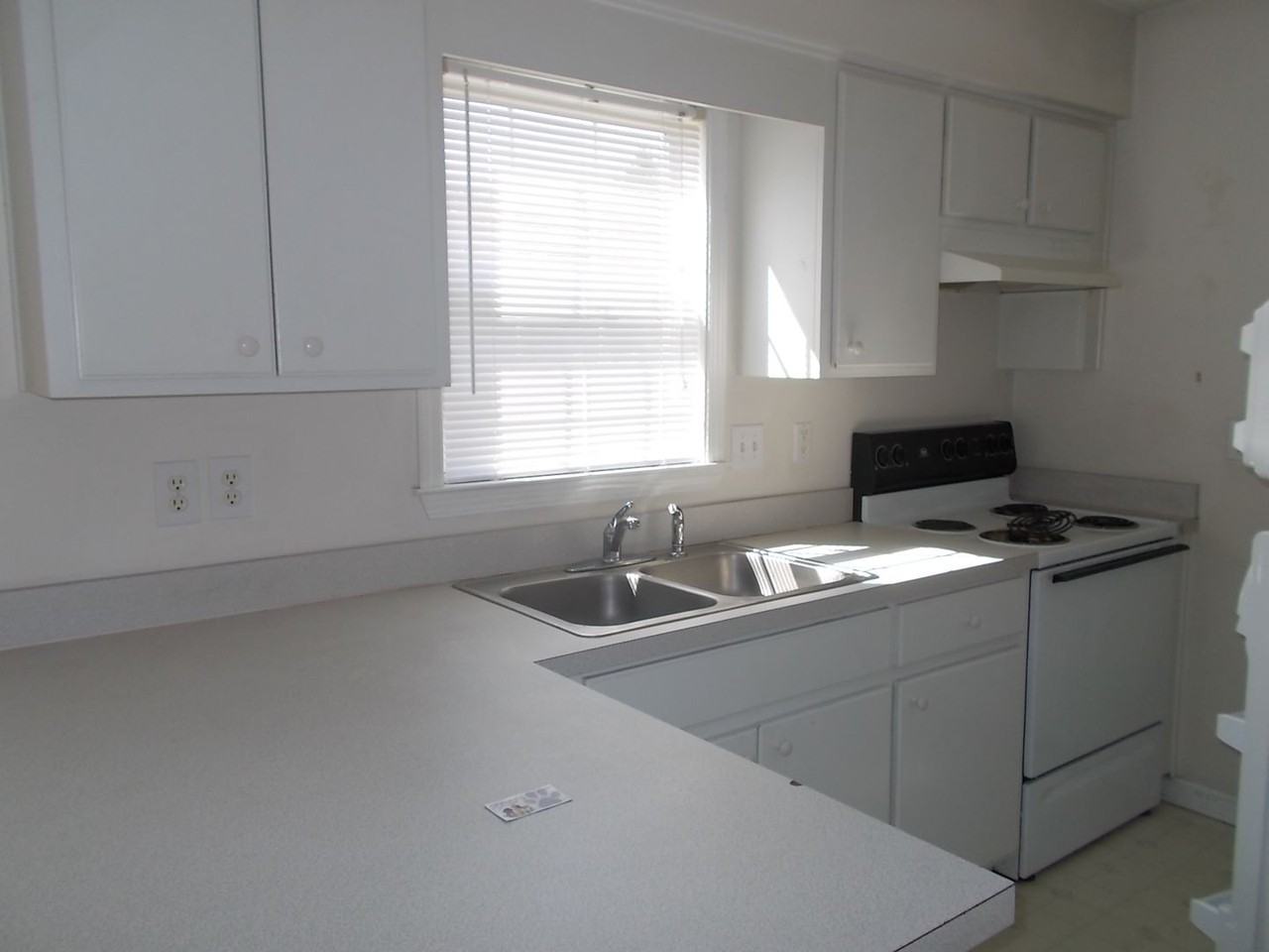 105 White Ash Ln - Photo 3 of 16