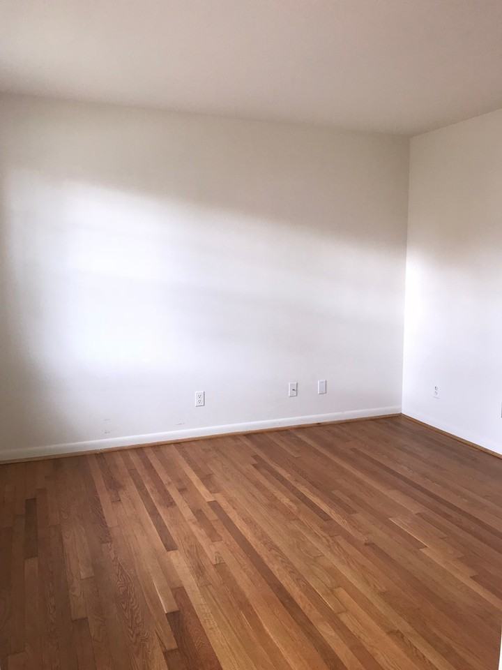 1101 Prince Edward St Apt C - Photo 4 of 6