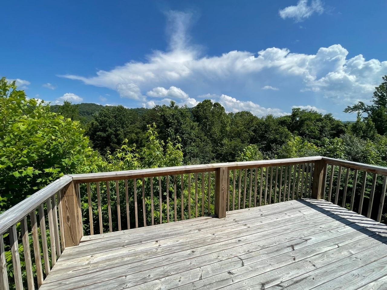 164 Harbour Pointe Ln - Photo 3 of 3