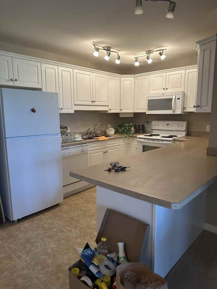3605 Albert St #342 - Photo 3 of 8