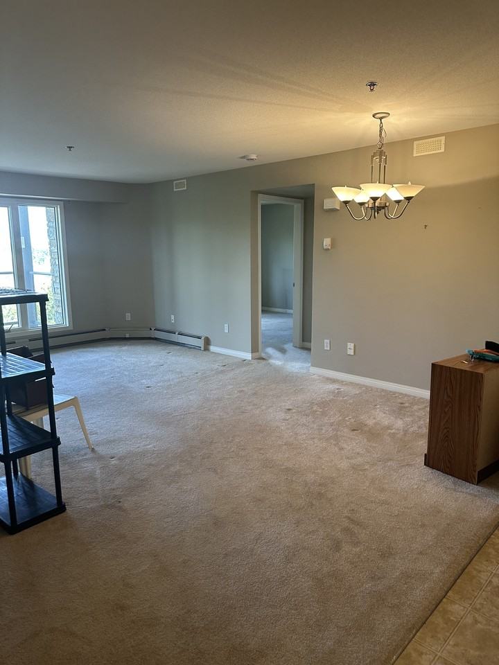 3605 Albert St #342 - Photo 6 of 8