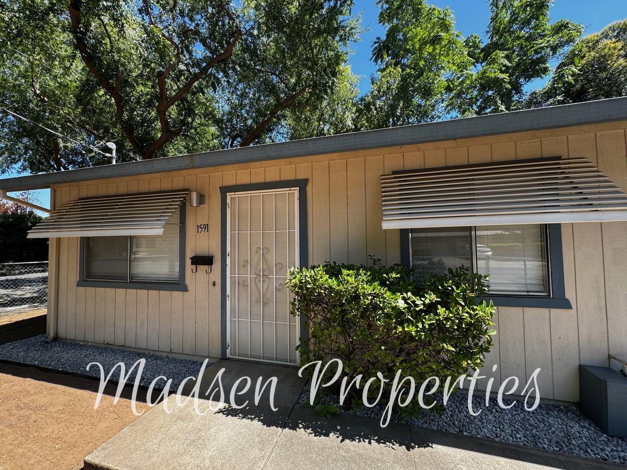 1589 / 1591 High Street - 1591 #1591 - Photo 6 of 25