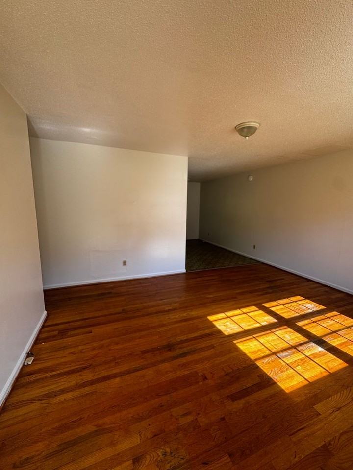 1337 N Lafayette St - Photo 3 of 22