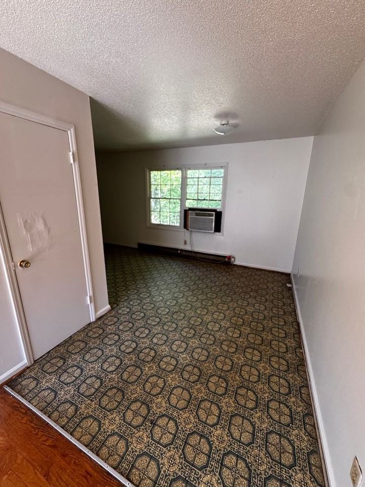 1337 N Lafayette St - Photo 6 of 22