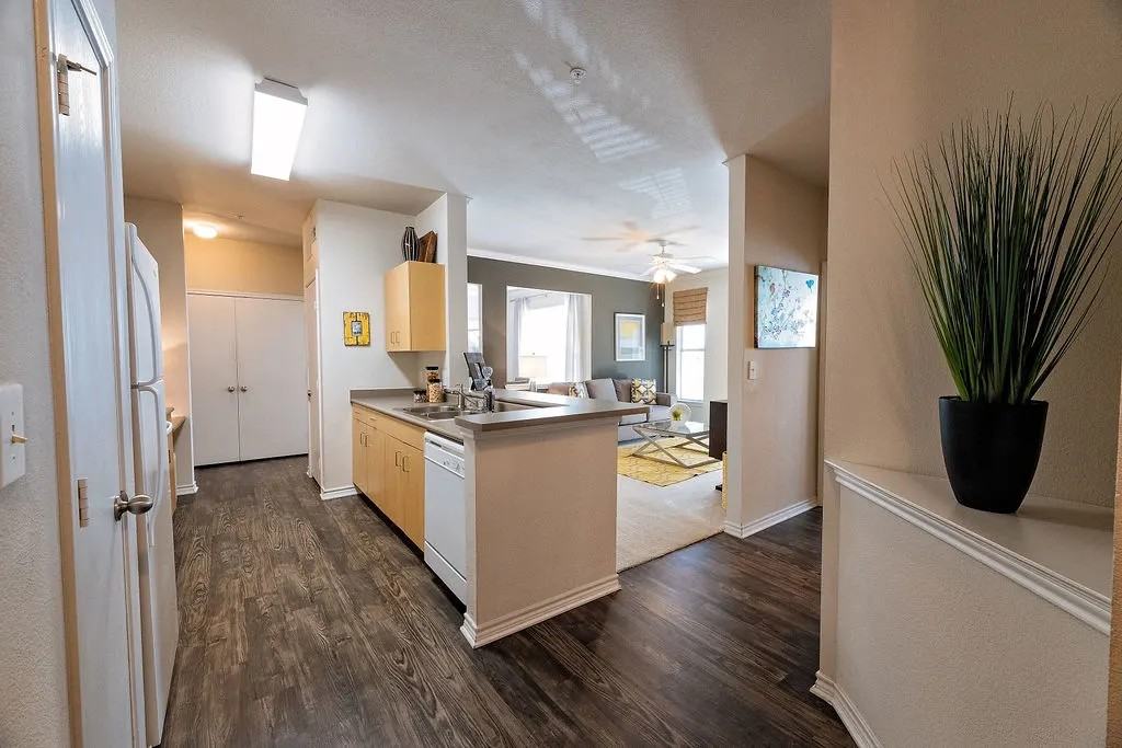 11700 Dessau Road - Photo 4 of 31
