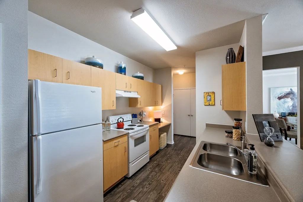 11700 Dessau Road - Photo 7 of 31