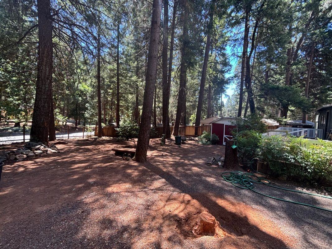 14737 Wildlife Dr - Photo 3 of 15