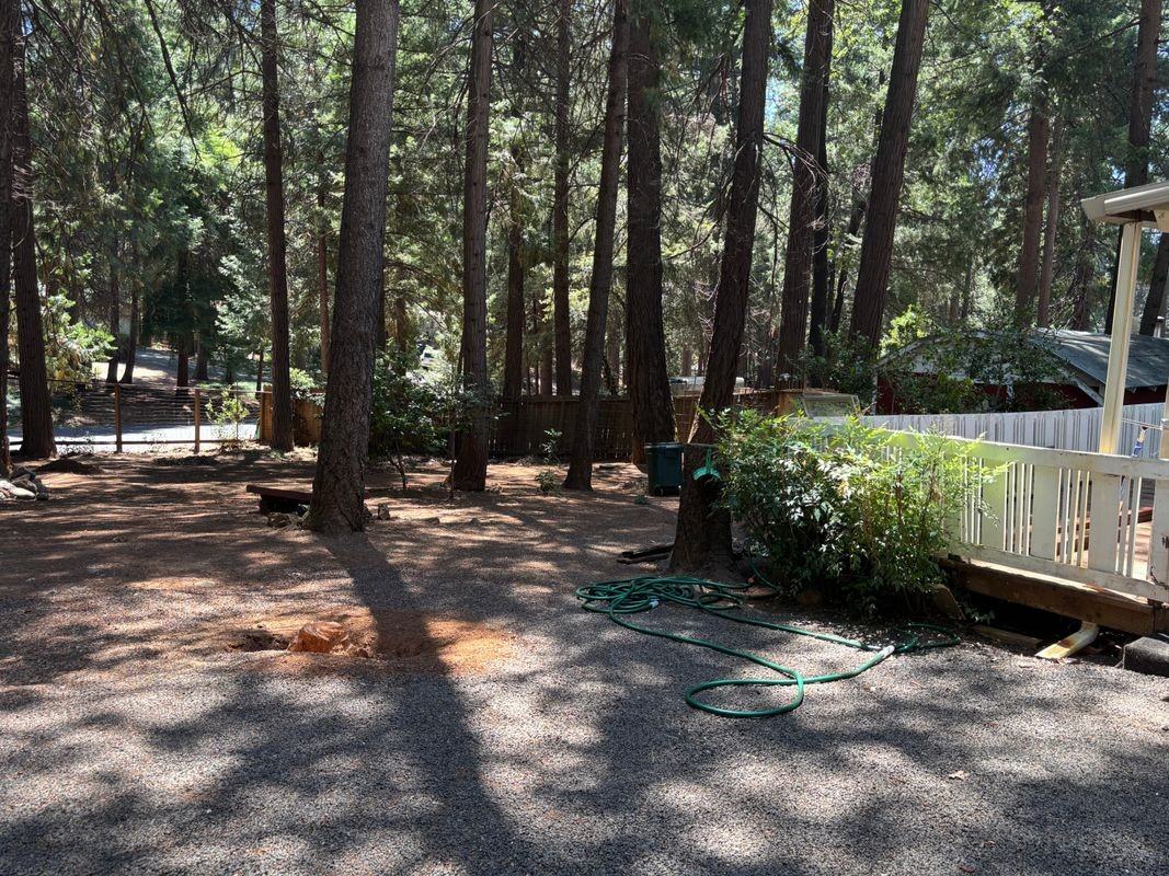 14737 Wildlife Dr - Photo 4 of 15