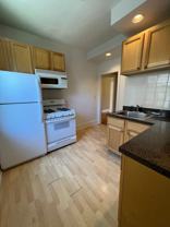 Beautiful Vintage Apartments Near NorthShore Evanston Hospital - Photo 1 of 1
