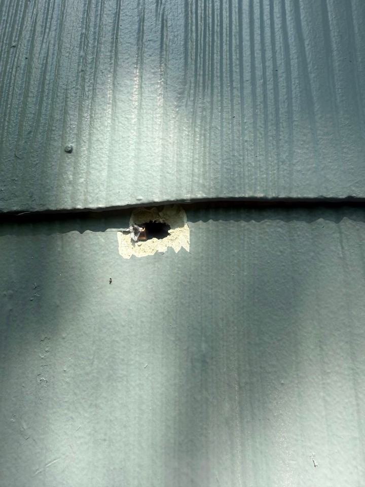 2668 Burns Ave - Photo 6 of 18
