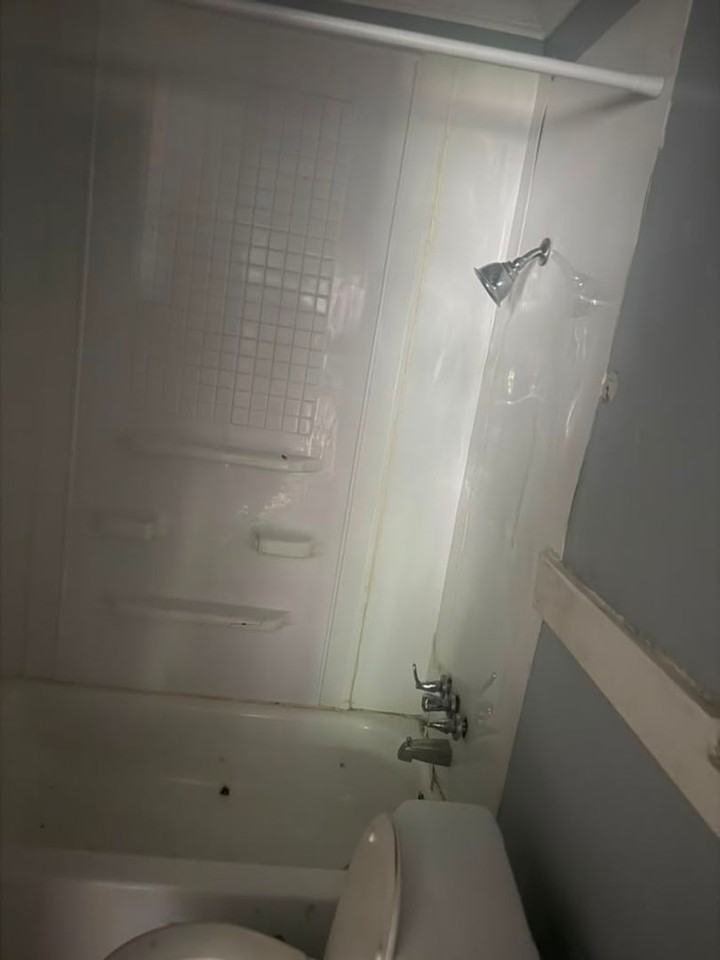 2668 Burns Ave - Photo 7 of 18