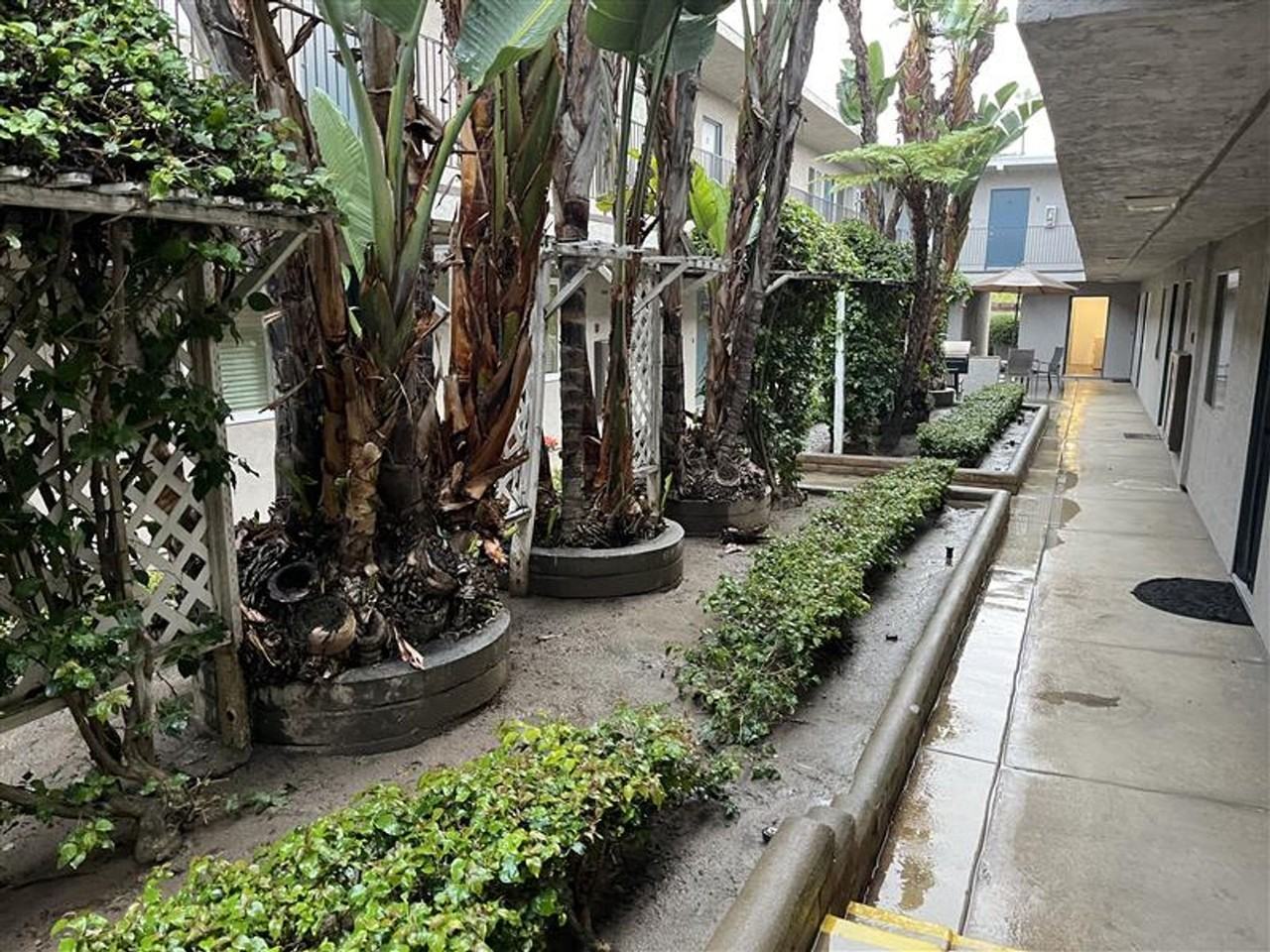 Iris Arms Apartments - Photo 3 of 5