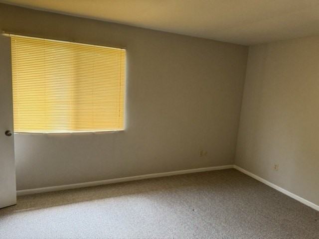 104 W Countryside Pkwy #D - Photo 4 of 6