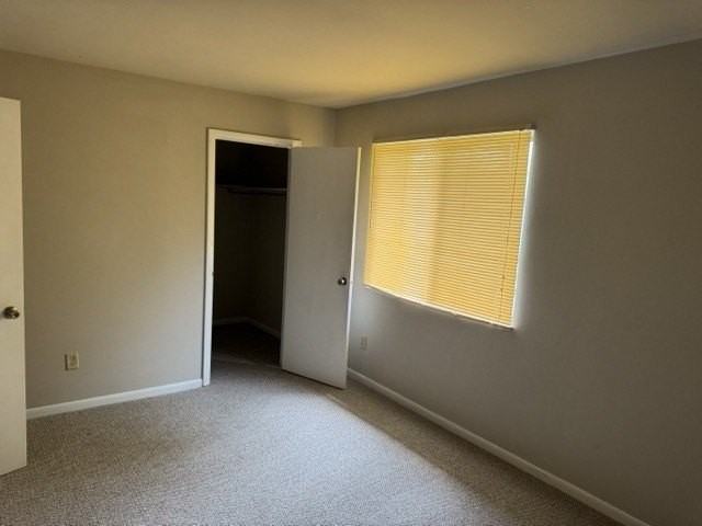 104 W Countryside Pkwy #D - Photo 6 of 6