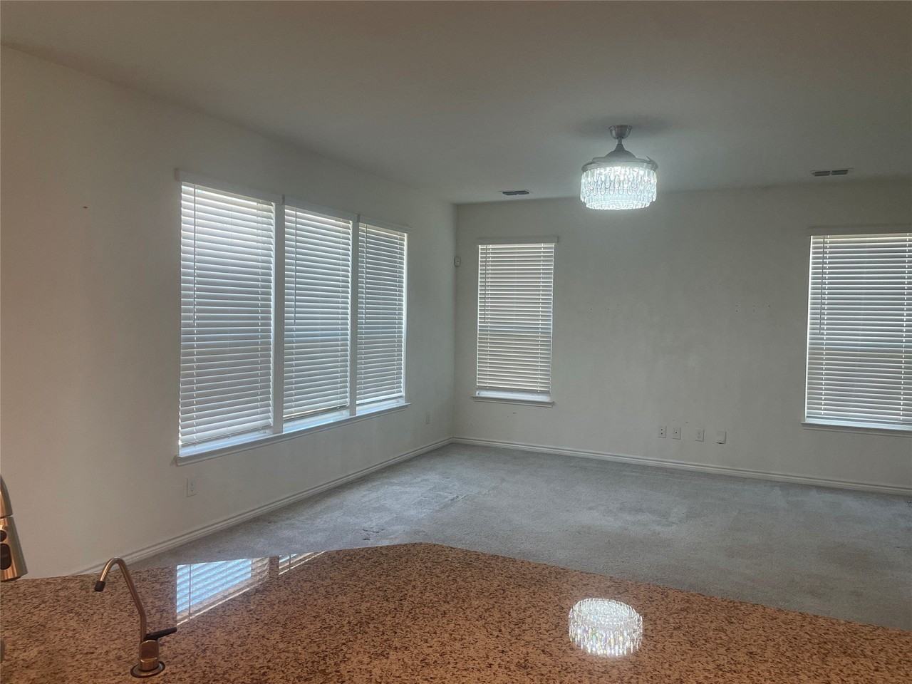 8921 Bison Creek Dr - Photo 5 of 21