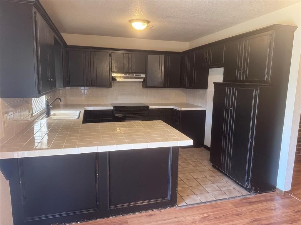 2900 Green Canyon Dr - Photo 4 of 15