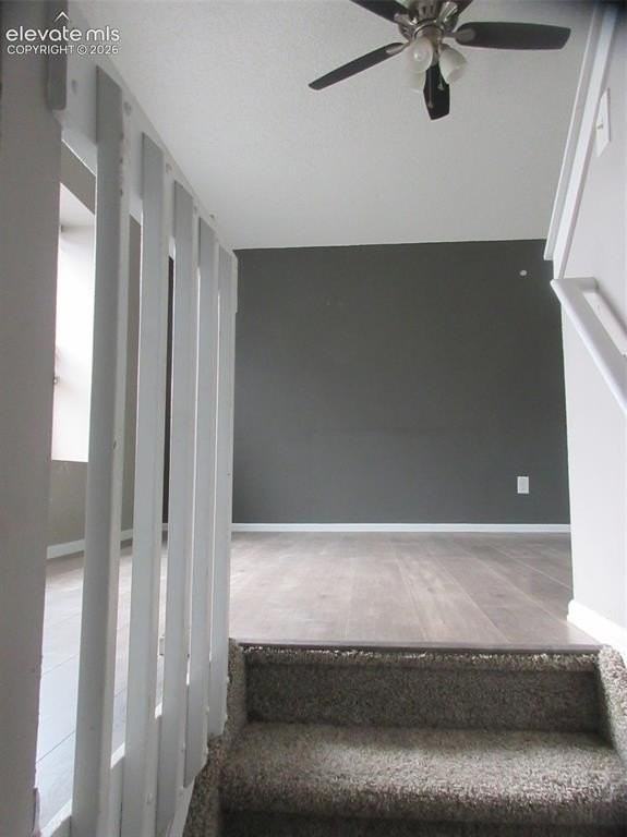 649 Autumn Pl - Photo 5 of 20