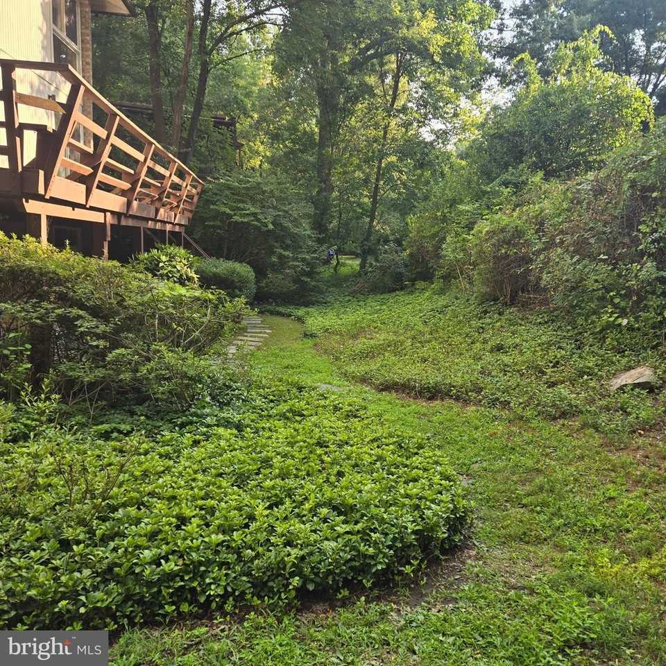 10612 Crossing Creek Rd - Photo 3 of 47