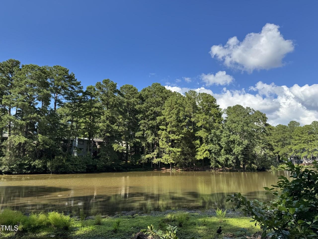 5112 Flint Ridge Pl - Photo 2 of 21