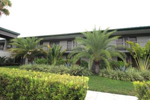 featured image of 7150 N Tamiami Trl #C226