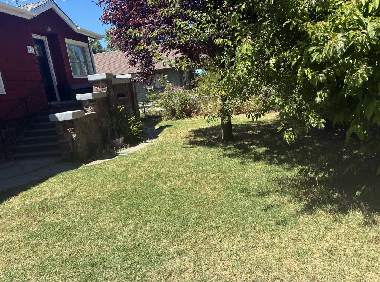 517 S Weed Blvd - Photo 2 of 11