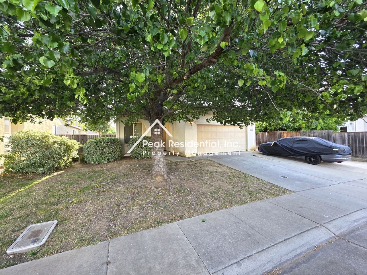 9783 Cervelli Way - Photo 2 of 2